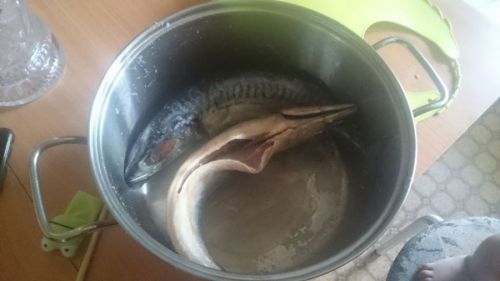 Скумбрия в рассоле