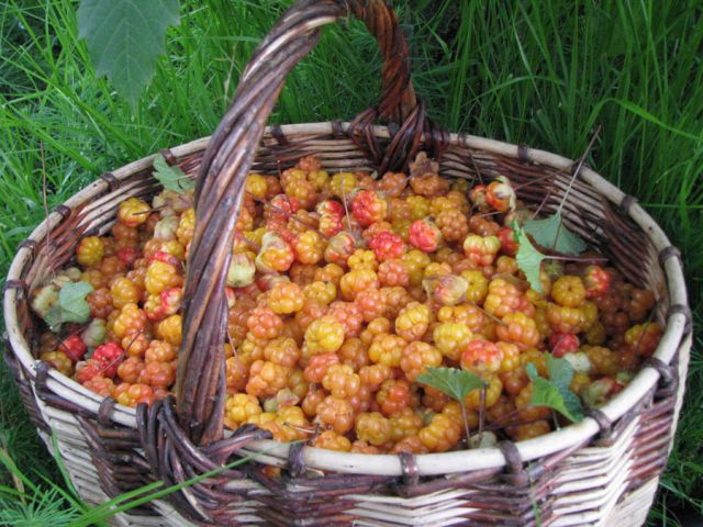 Корзинка с морошкой