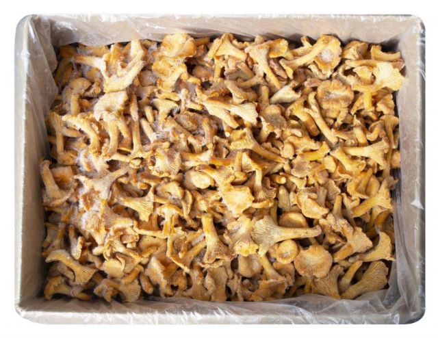 Замороженные лисички